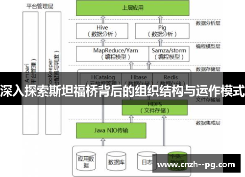 深入探索斯坦福桥背后的组织结构与运作模式 深入探索斯坦福桥背后的组织结构与运作模式